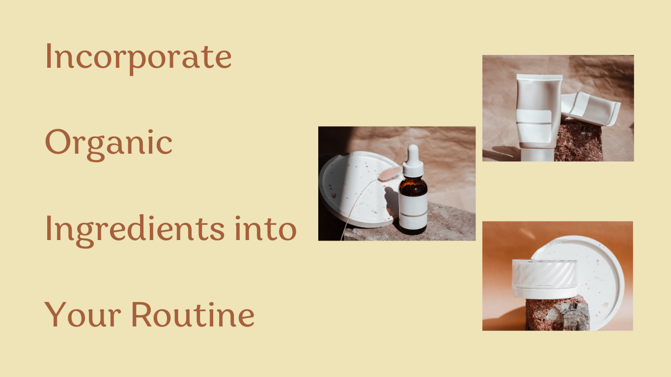 Natural Skincare Guide: How to Incorporate Organic Ingredients into Your Daily Routine